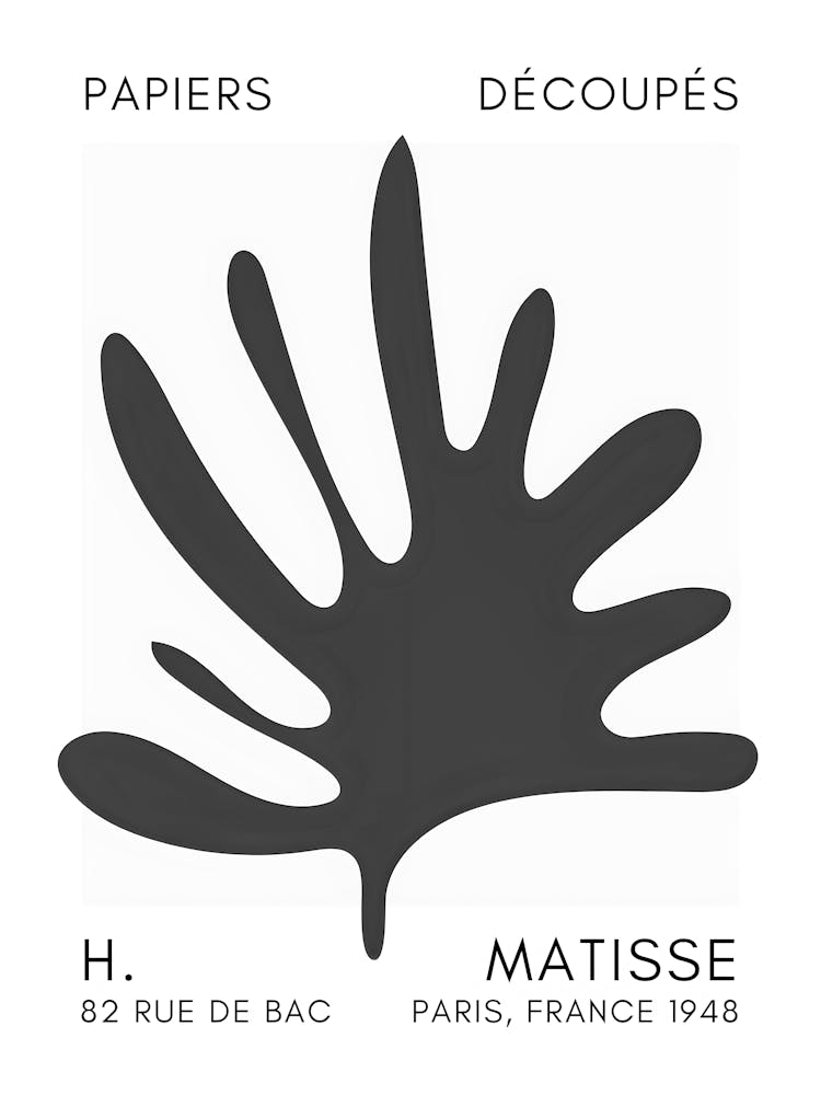 H Matisse 58