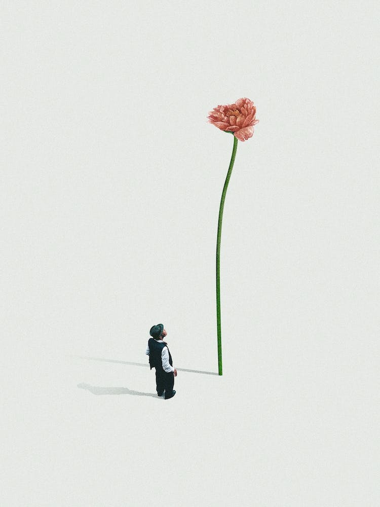 A Quiet Friend