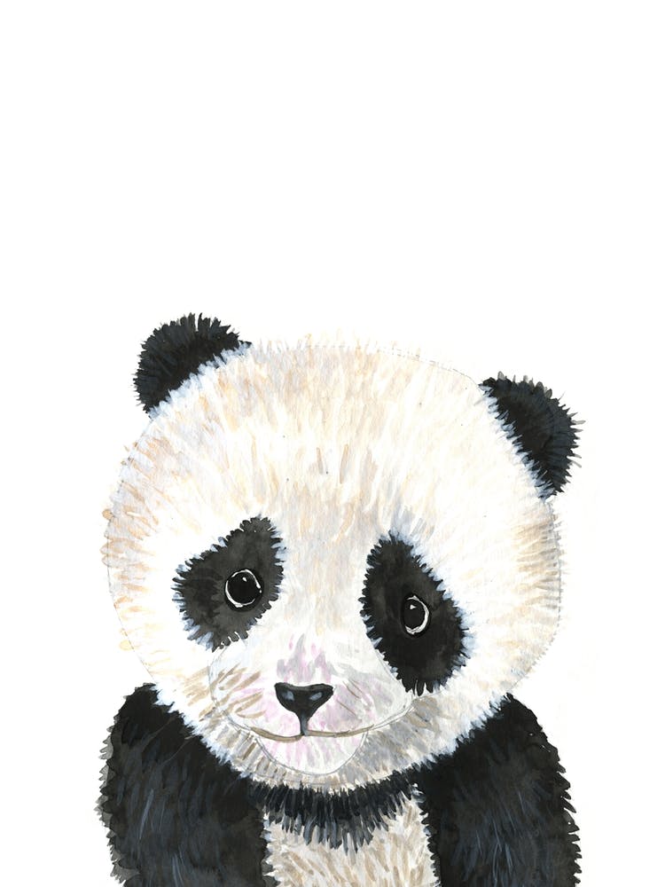 Baby Panda