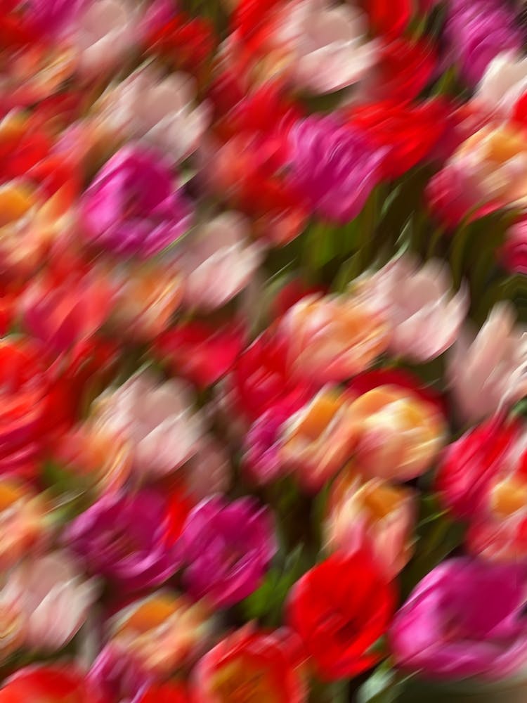 Spring Awakening