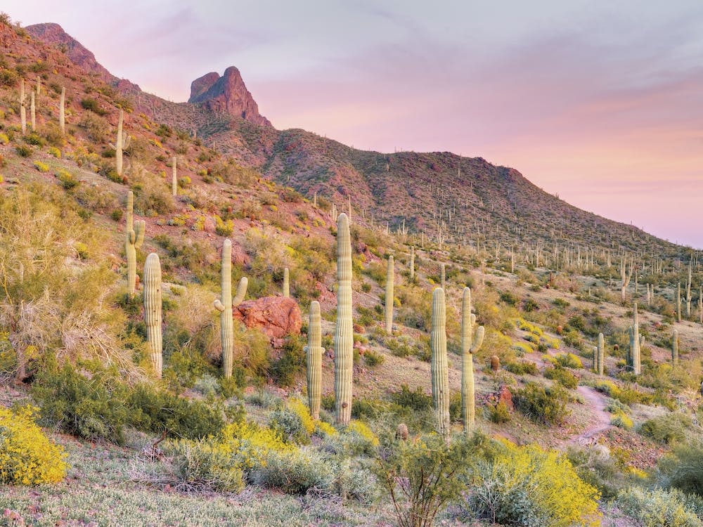 It's Raining (Wo)Men