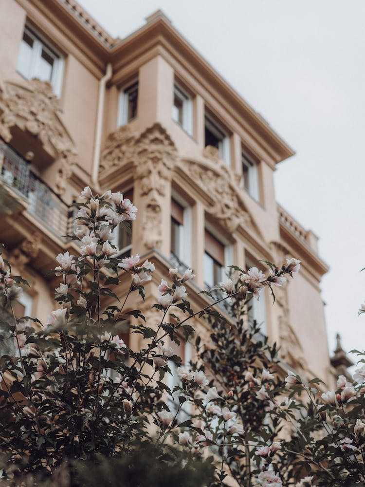 Pink Flowers And The Mansion St Sebastian, Spain