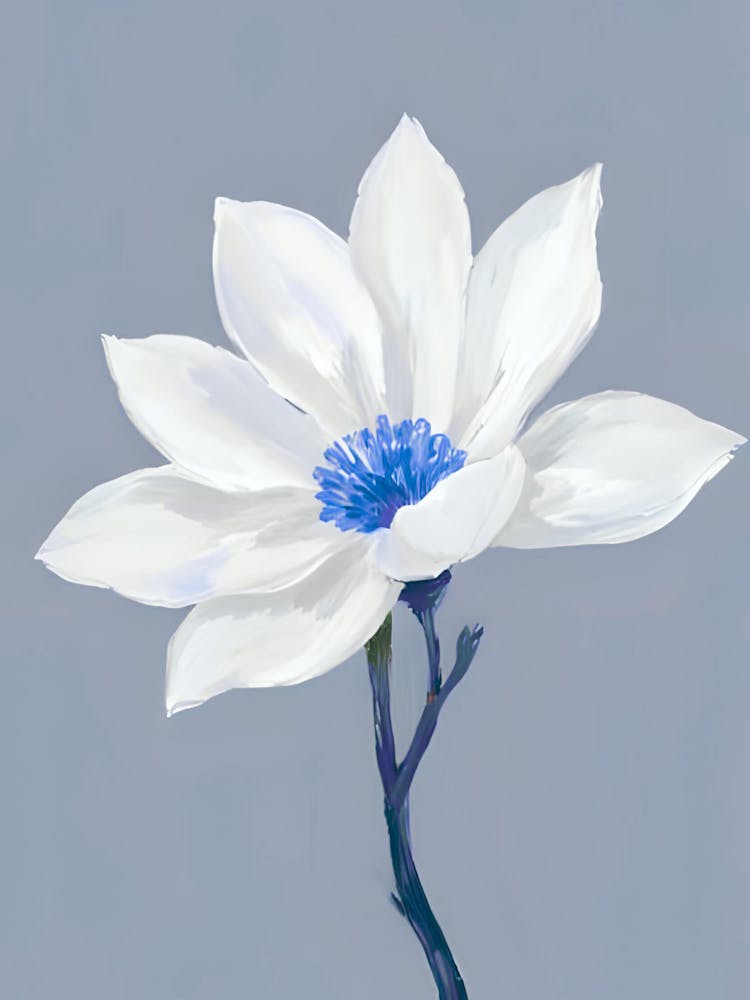 White Lotus Flower