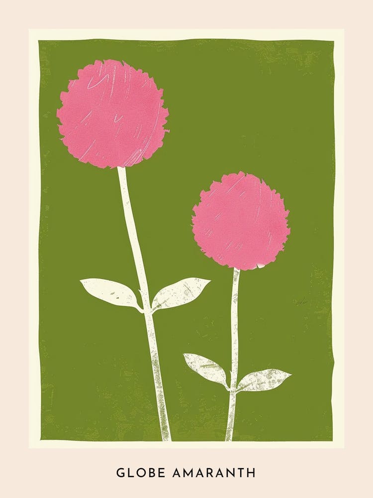 Pink & Green Globe Amaranth 2 Flower Poster