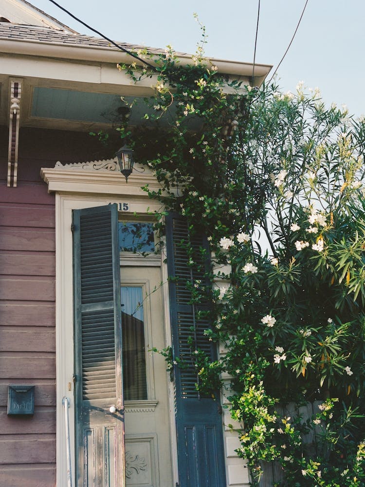 New Orleans Architecture X