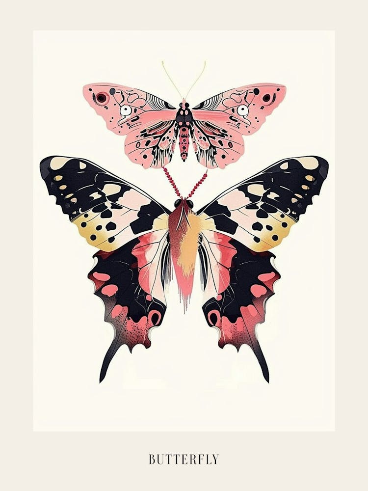 Colourful Insect Illustration Butterfly 24 Poster