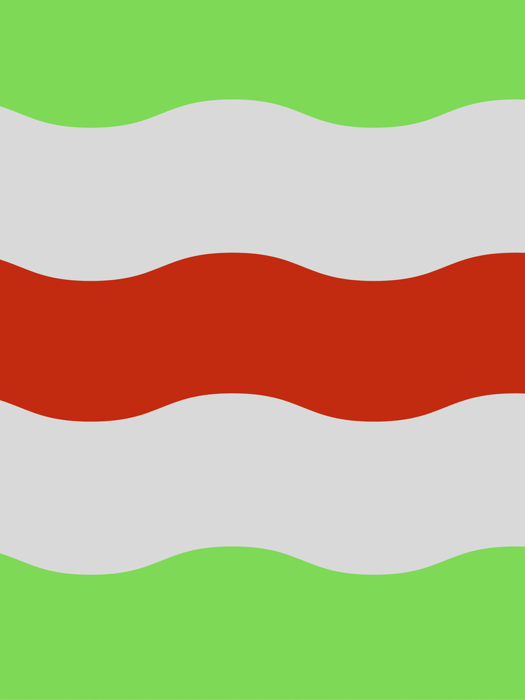 Flag Of Ireland