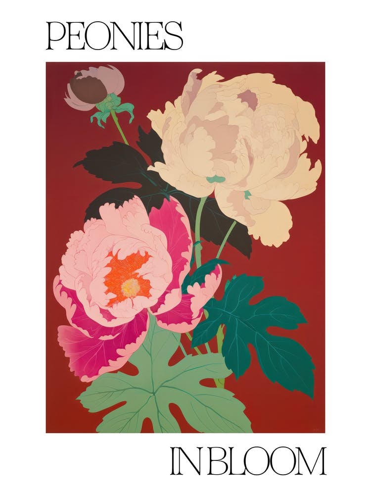 Peonies In Bloom Flowers Bold Illustration 3