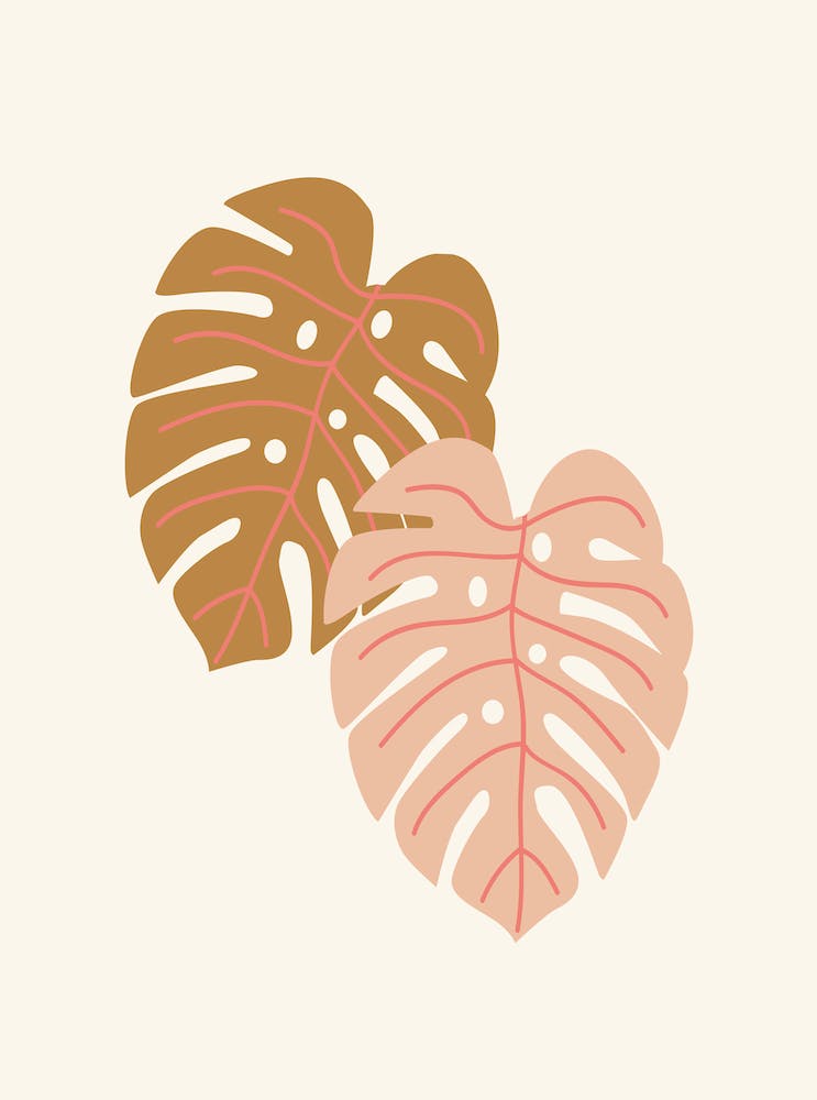 Feuilles de Monstera