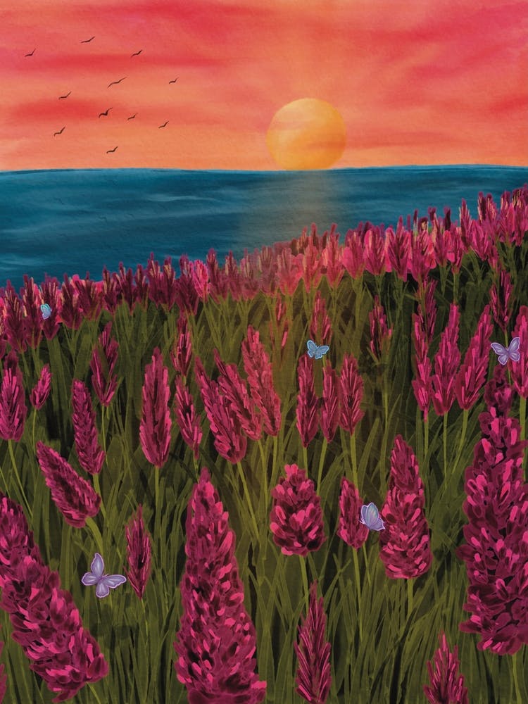 Vibrant sunrise