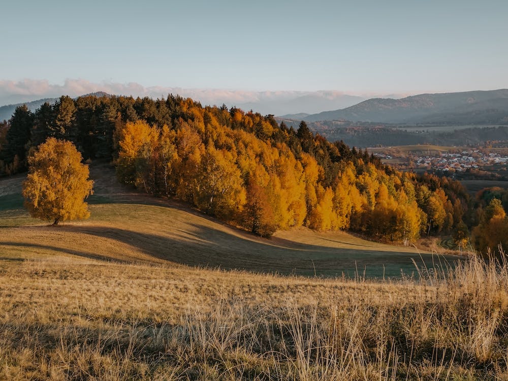 Mountain Town Autumn Forest