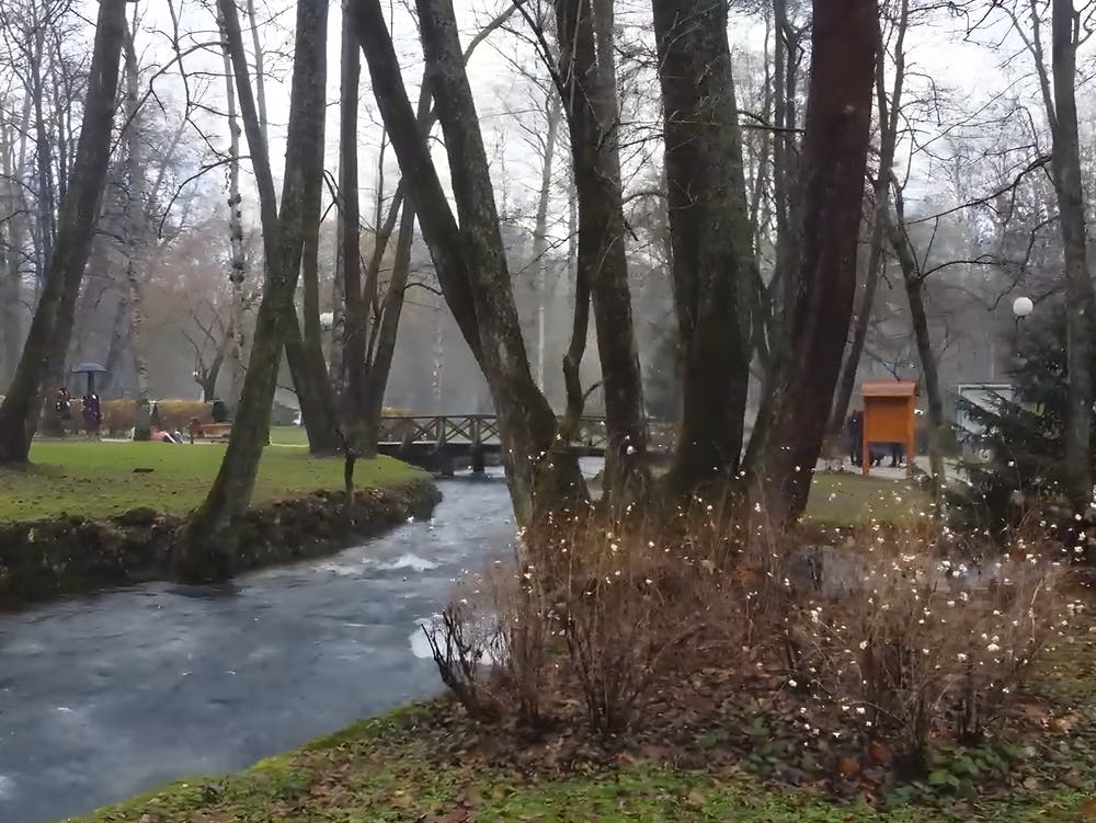 Life Between Water And Air Live