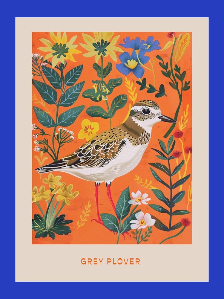 Spring Birds Poster Grey Plover 2
