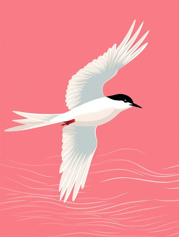 Minimalist Common Tern 1 Illustration