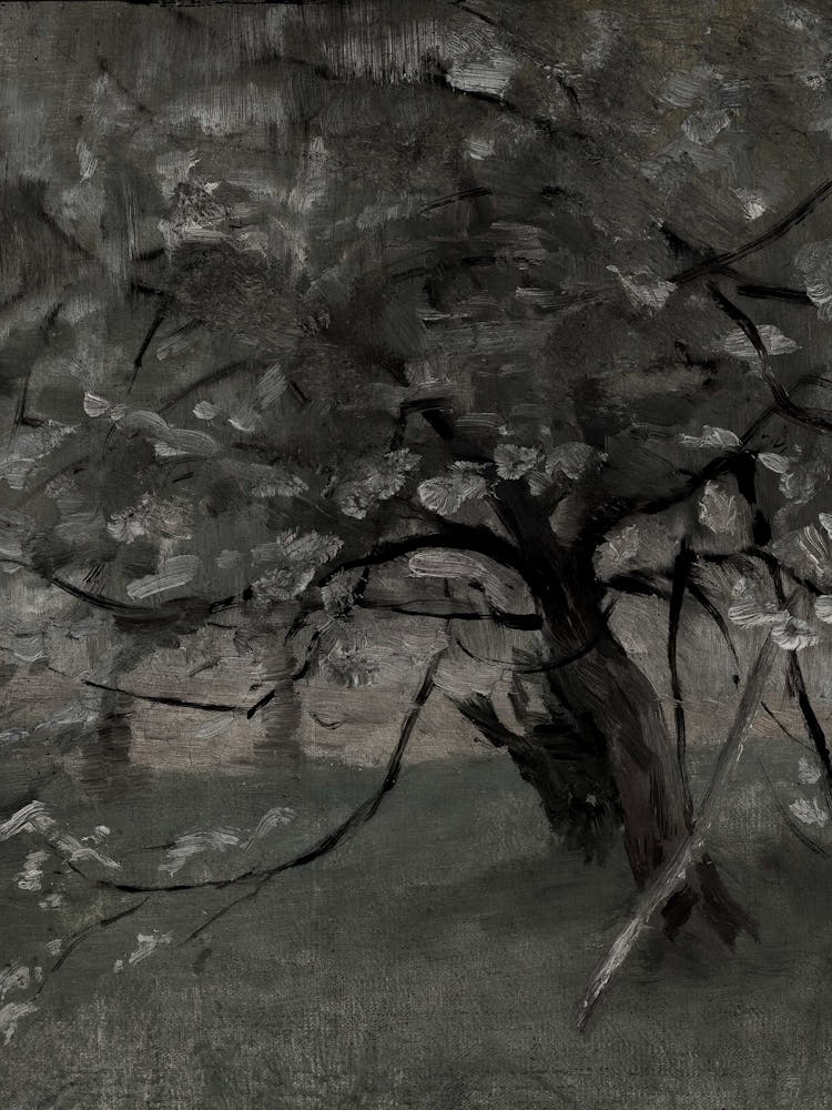 Baum auf einem Feld