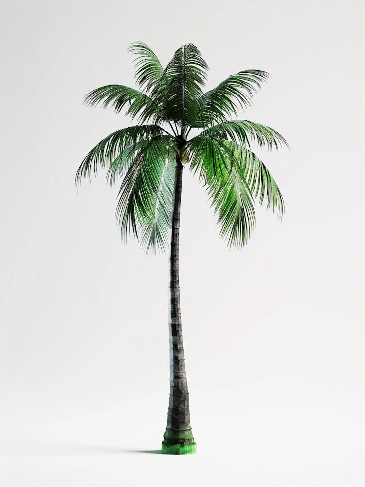 Palm Tree Pixel Illustration 3
