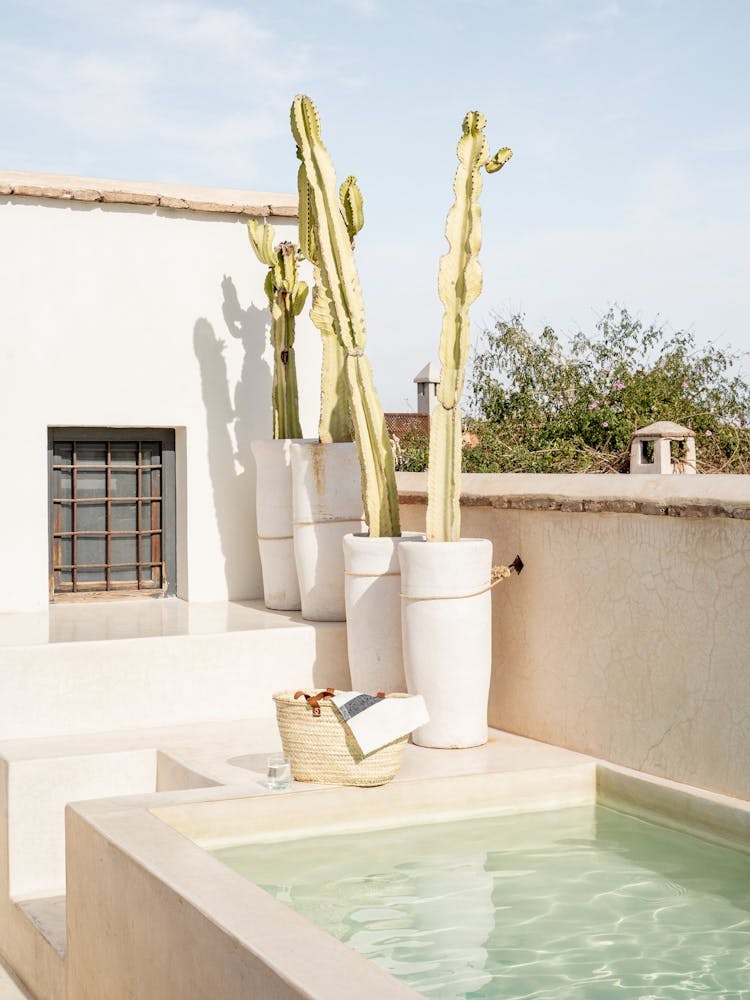 Poolside In Marrakech