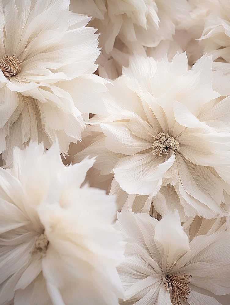 Boho Dried Flowers Petunia 1