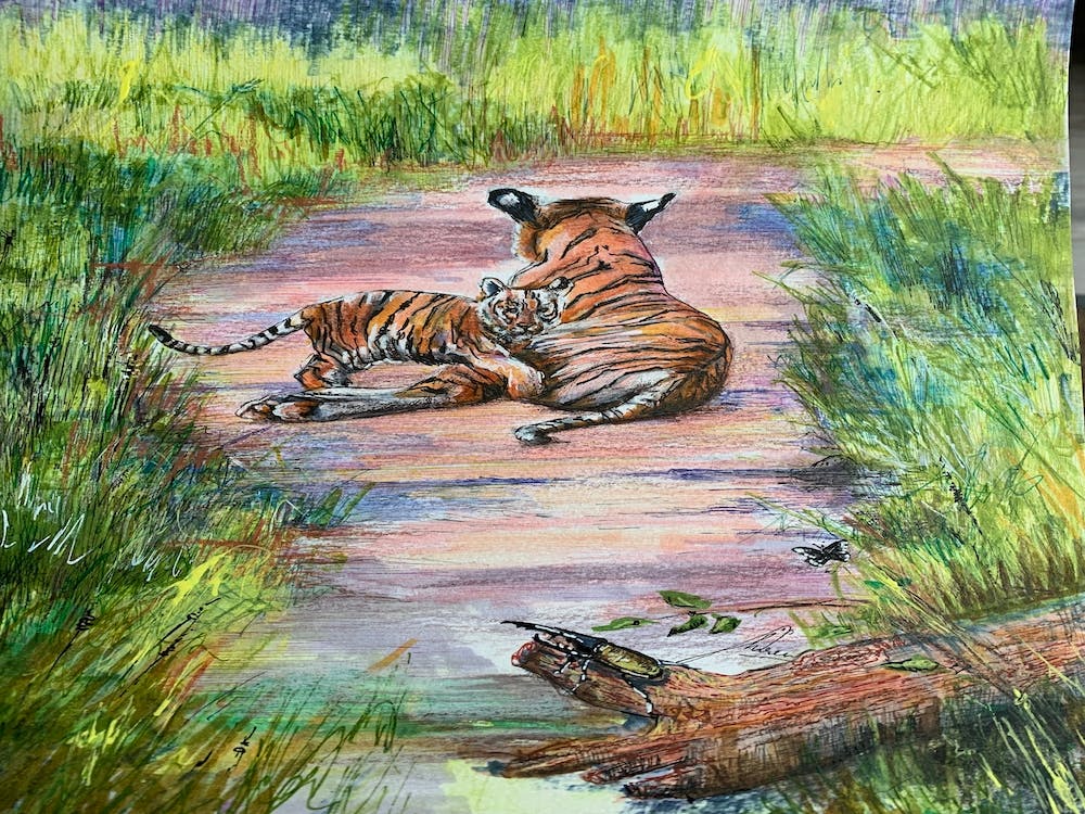  Tigeress in Tadoba 