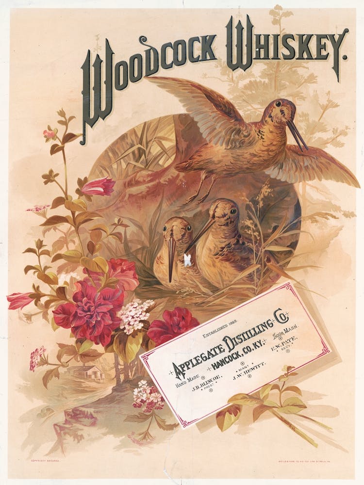Woodcock Whiskey Advert, 1882