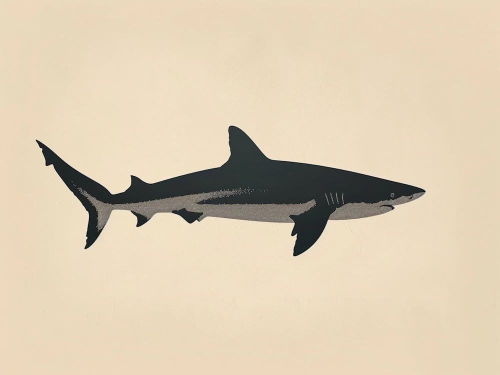 Bull Shark Grey Silhouette 6