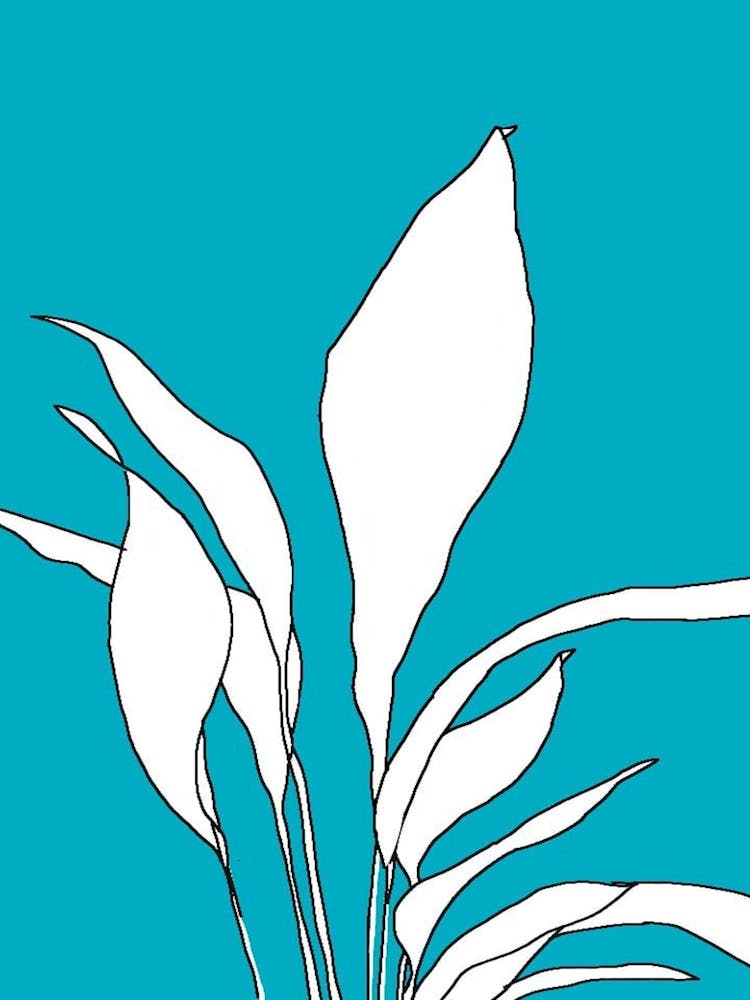 Ferns On A Blue Background