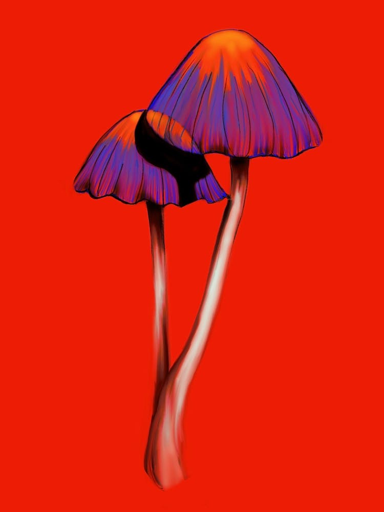 Shrooms