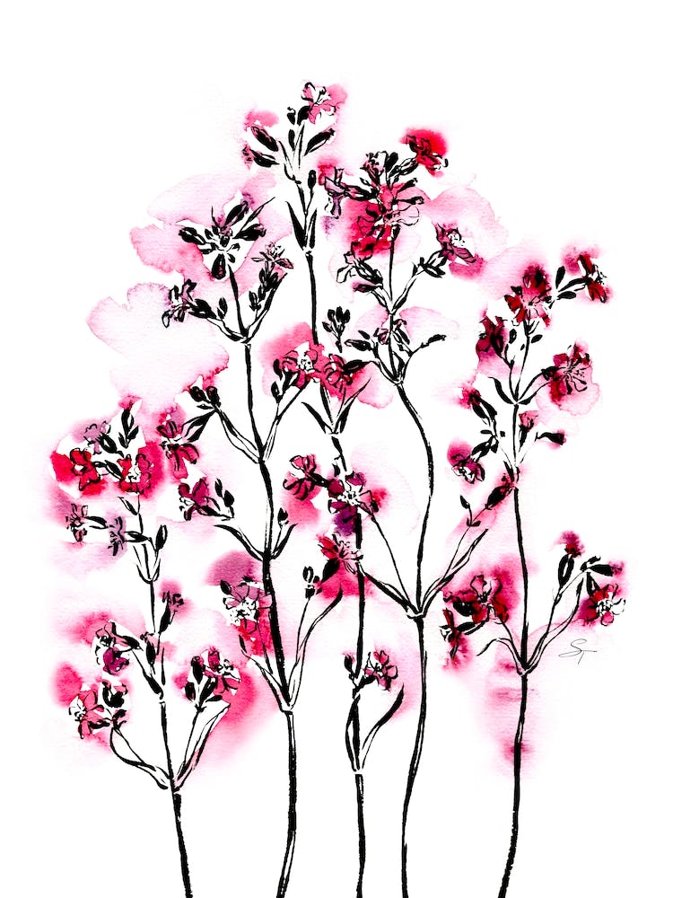 Watercolor Pink Spring Flowers On White Background