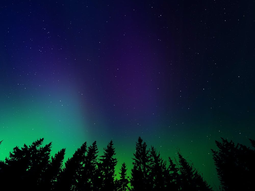 Aurora neon landscape #4