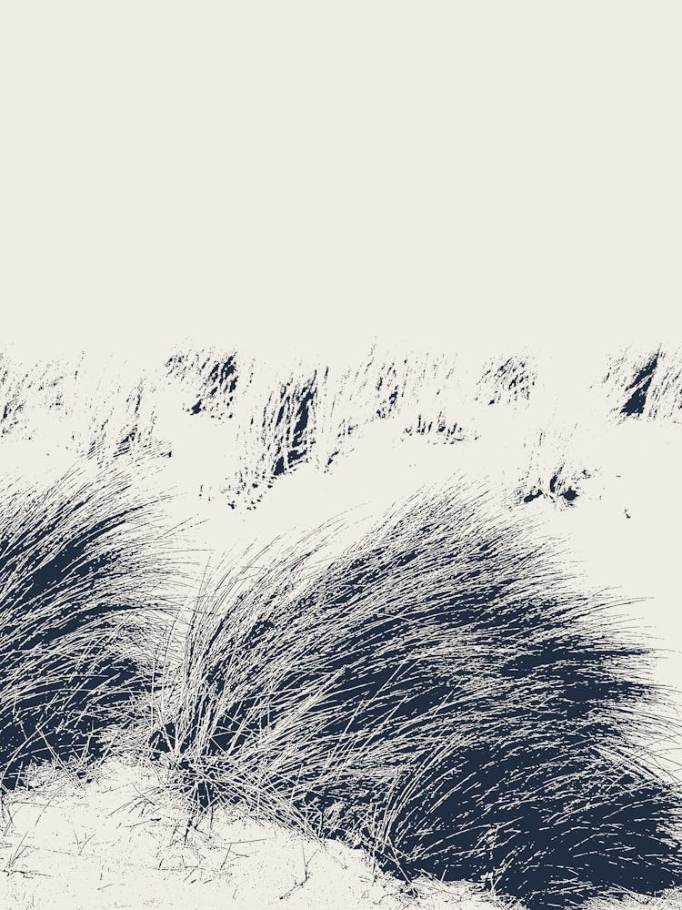 Sanddünen, Strandgras in Blau