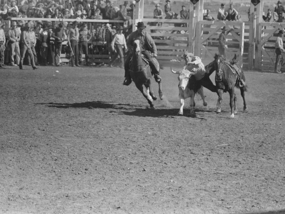 Wildes Stierringen Beim Rodeo Der San Angelo Fat Stock Show, San Angelo, Texas Von Russell Lee