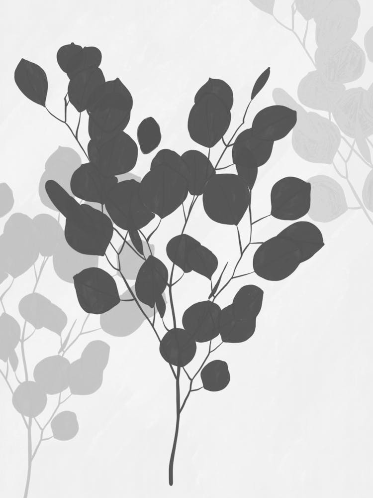 Eucalyptus Leaves 1