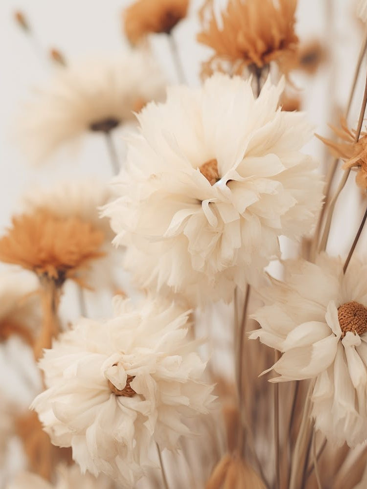 Boho Dried Flowers Marigold 3