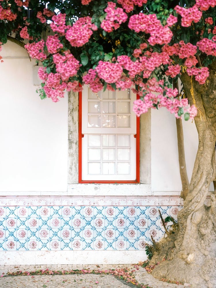 Alfama