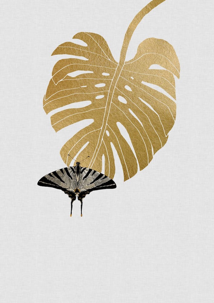Butterfly & Monstera