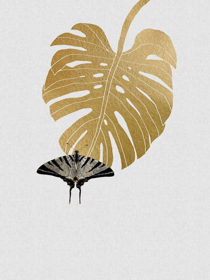 Butterfly & Monstera