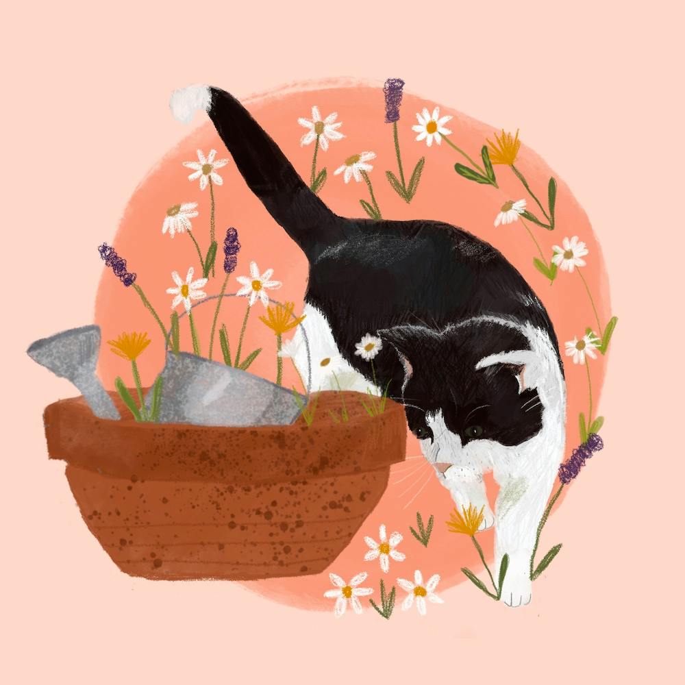 Cat with Watering Can