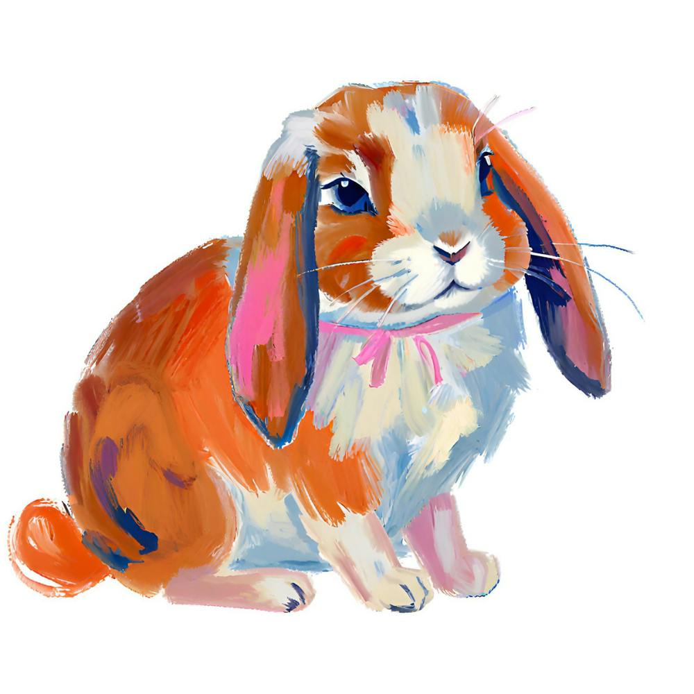 Holland Lop Rabbit 03 1