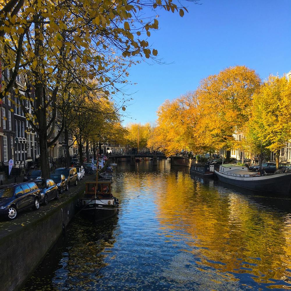 Canal in Amsterdam - Square