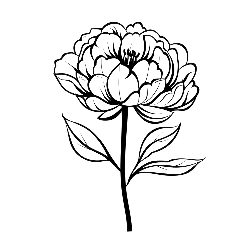 Peony November Birth Month Flower 1