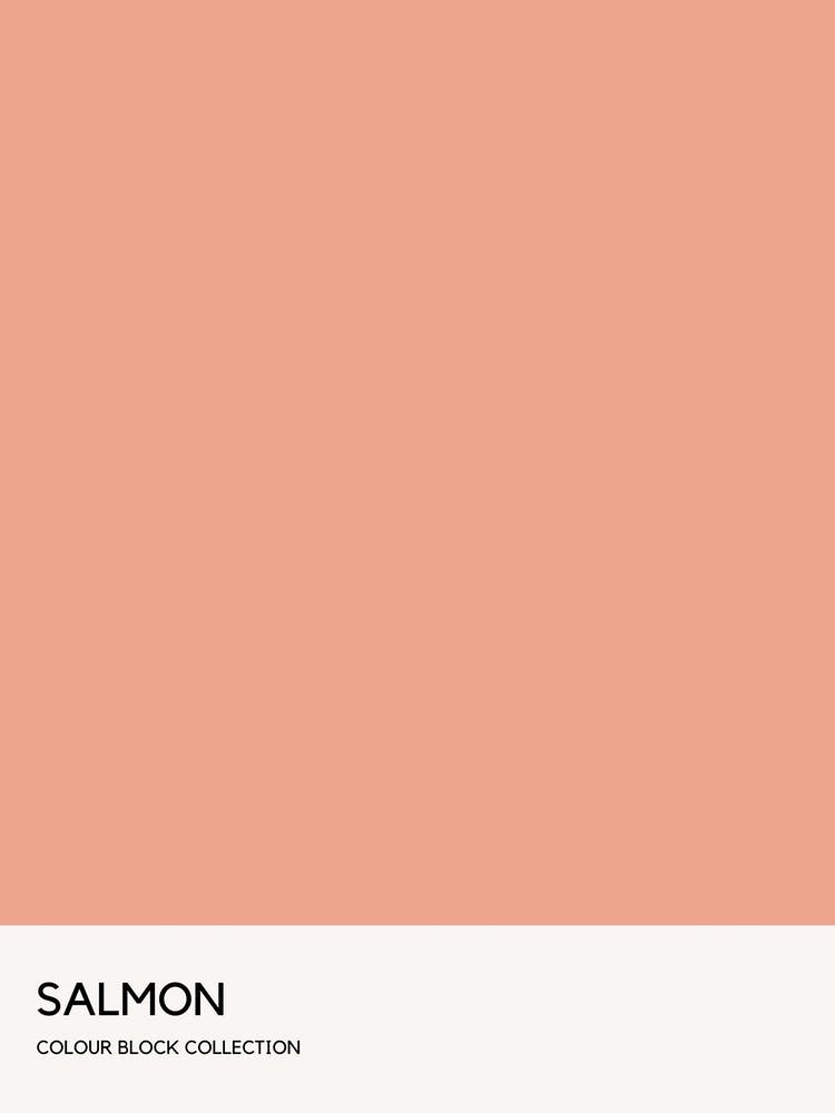 Salmon Colour Block Poster