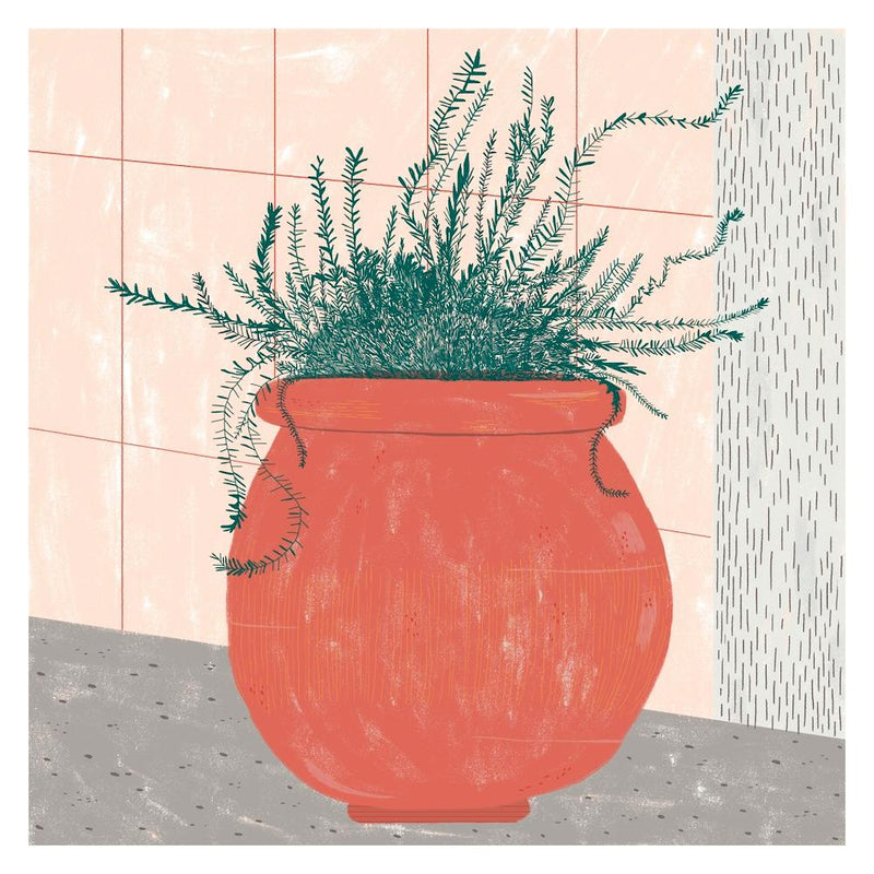 Rosemary