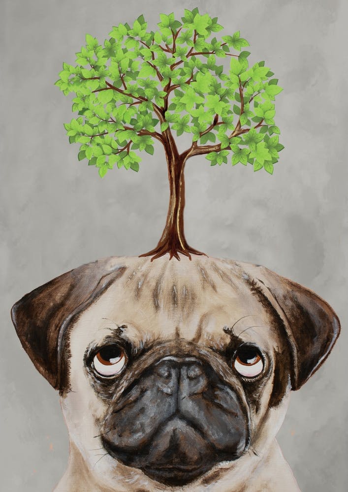 Pug With Tree