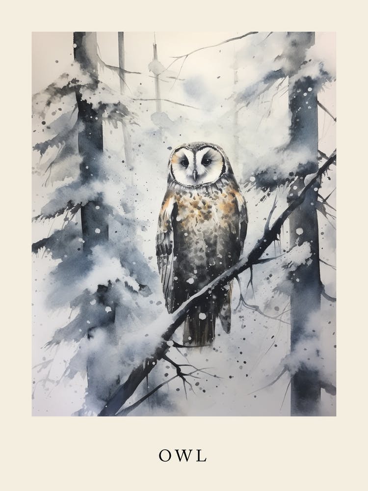 Hibou d'hiver à l'aquarelle 2 - Affiche