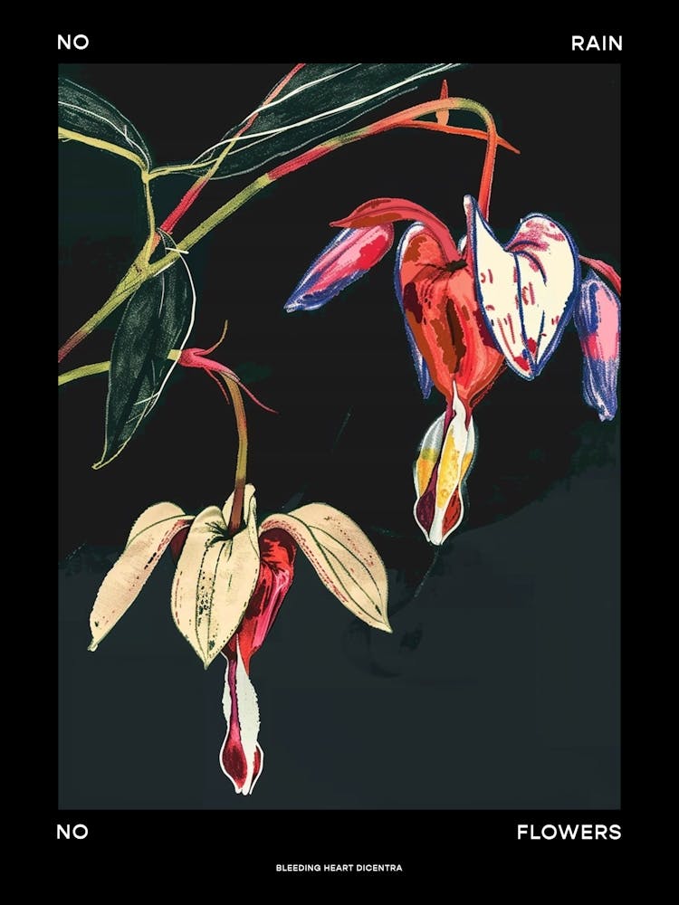 No Rain No Flowers Poster Bleeding Heart Dicentra 3