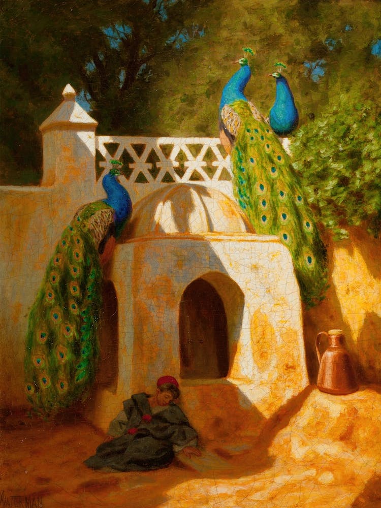 Mosque De Sidi Abdel Rahman With Peacock, Marcus Waterman