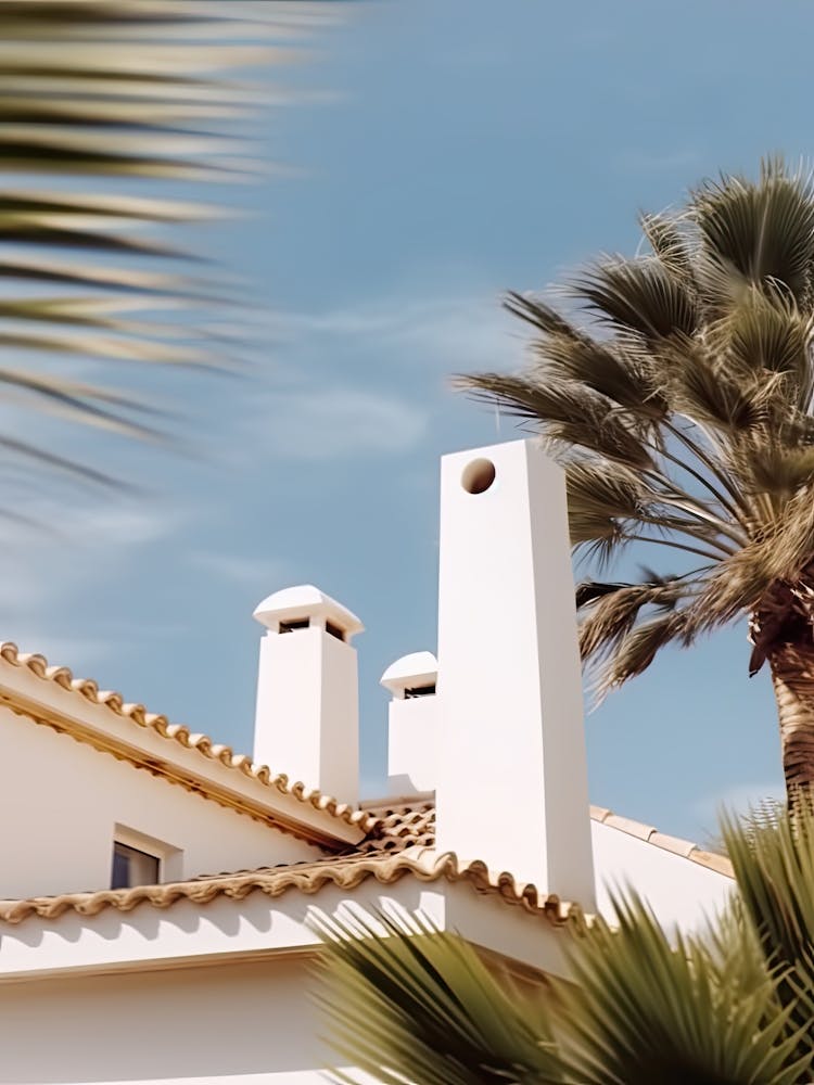 White House With Palms Retro Summer Photography 3