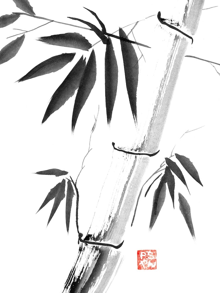 Bamboo