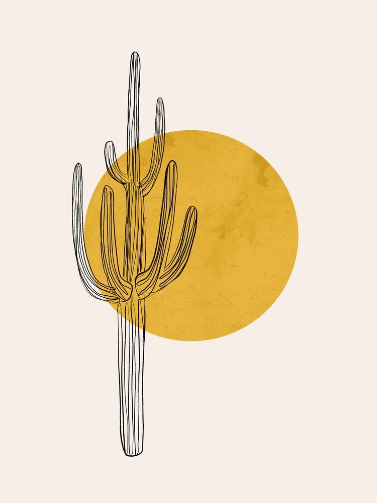 Desert Cactus and Sun
