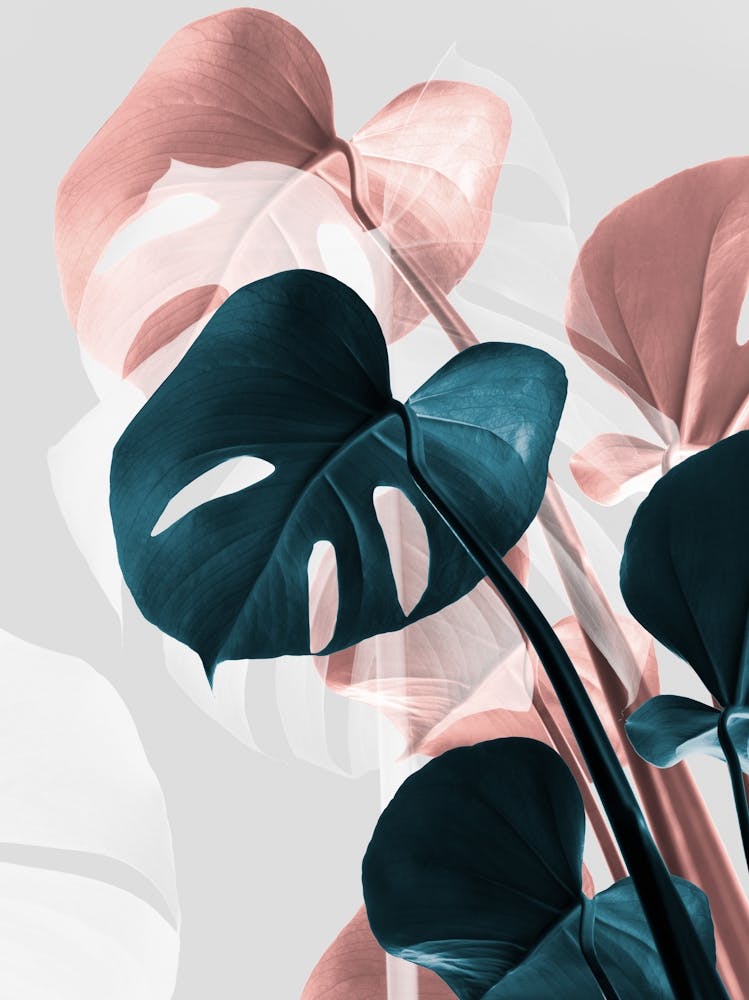 Monstera Leaves Pink and Green Metallic_2058442